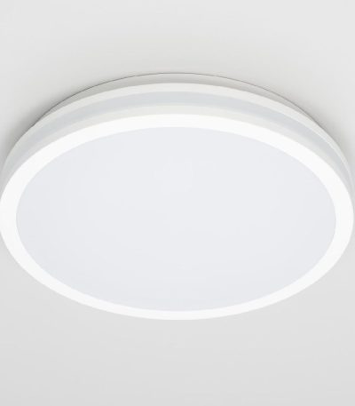 Потолочный светильник Citilux Luns CL711020V