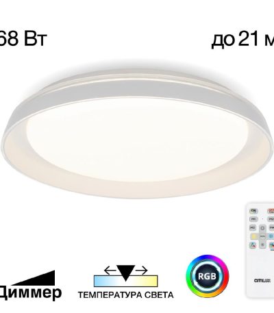 Потолочный светильник Citilux Mega CL752450G