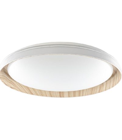 Потолочный светильник Citilux Mega CL752452G