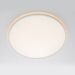 Потолочный светильник Citilux Norma CL749500