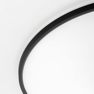 Потолочный светильник Citilux Norma CL749601