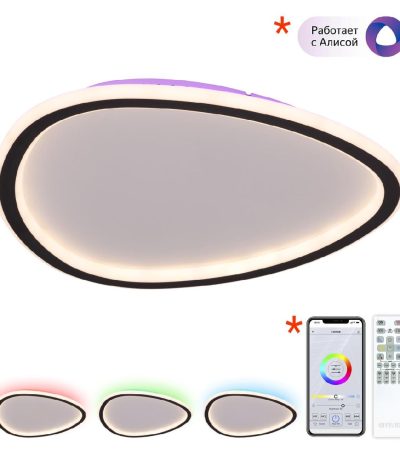 Потолочный светильник Citilux Trio CL215B241E