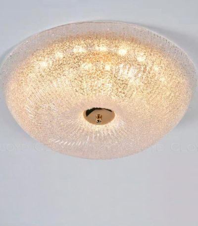 Потолочный светильник Cloyd Manioсa 11041