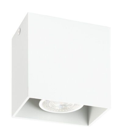 Потолочный светильник Denkirs DK2027-WH