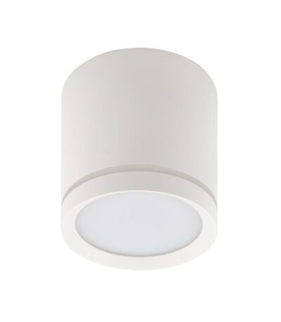 Потолочный светильник Denkirs DK4016 DK4013-WH