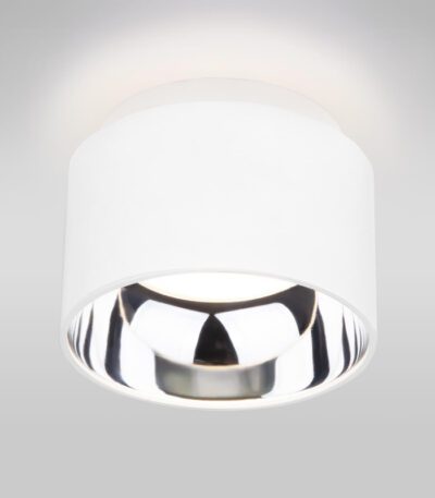 Потолочный светильник Elektrostandard 1069 GX53 WH белый матовый 4690389098512