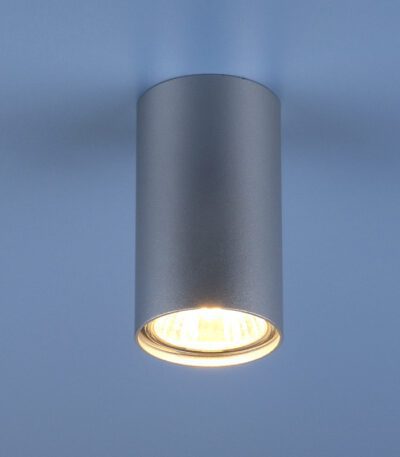Потолочный светильник Elektrostandard 1081 5257 GU10 SL серебро 4690389104381