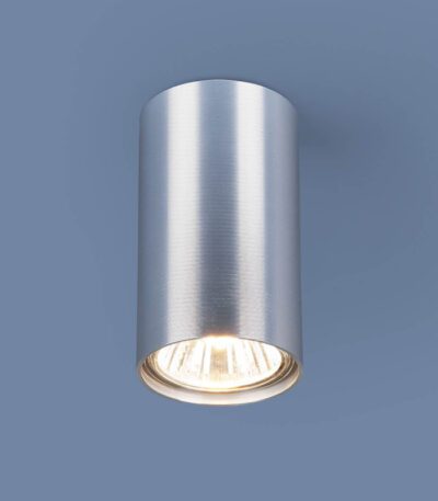 Потолочный светильник Elektrostandard 1081 GU10 SCH сатин хром 4690389107672