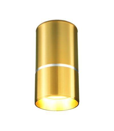 Потолочный светильник Elektrostandard DLN106 GU10 золото 4690389148613