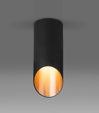 Потолочный светильник Elektrostandard DLN114 GU10 черный/золото 4690389151170