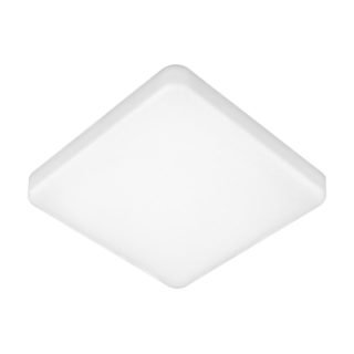 Потолочный светильник Elektrostandard DLS043 10W 4200K a047941