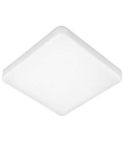 Потолочный светильник Elektrostandard DLS043 10W 4200K a047941