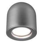 Потолочный светильник Elektrostandard Ogma DLN116 GU10 серебро 4690389153341