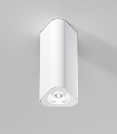 Потолочный светильник Elektrostandard Trio 25110/LED 4690389205859 a067062