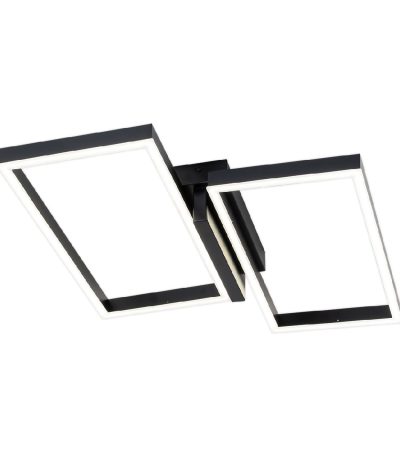 Потолочный светильник Escada Scales 10209/2LED Black