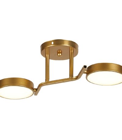 Потолочный светильник Escada Starlight 10273/2LED