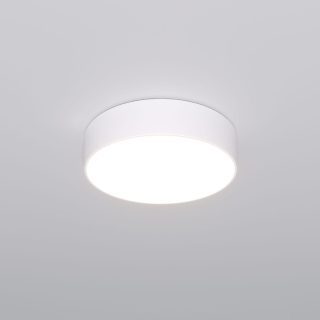 Потолочный светильник Eurosvet Entire 90318/1 белый a063076