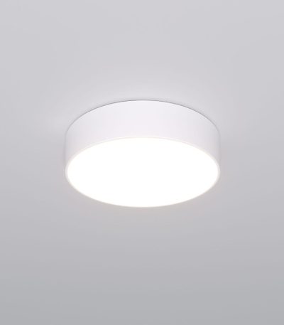 Потолочный светильник Eurosvet Entire 90318/1 белый a063076