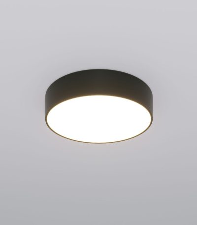 Потолочный светильник Eurosvet Entire 90318/1 черный a063079