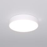 Потолочный светильник Eurosvet Entire 90319/1 белый a063077