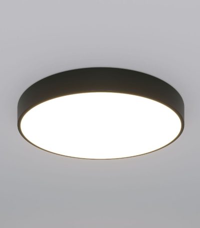 Потолочный светильник Eurosvet Entire 90320/1 черный a063081