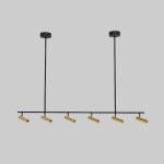 Потолочный светильник Eurosvet Epiphania 20252/6 LED черный/латунь a068799