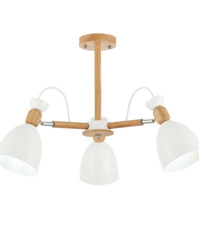 Потолочный светильник EVOLUCE BALCAMO SLE103802-03