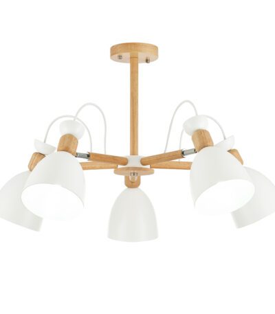 Потолочный светильник EVOLUCE BALCAMO SLE103802-05