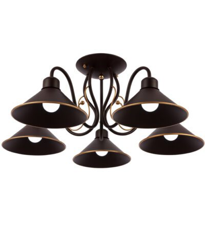 Потолочный светильник EVOLUCE CIOLLA SLE120402-05