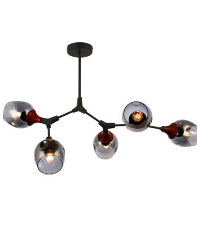 Потолочный светильник EVOLUCE CIOTOLLA SLE113402-05