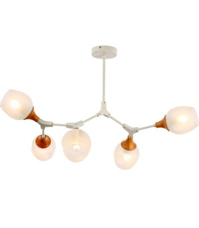 Потолочный светильник EVOLUCE CIOTOLLA SLE113502-05