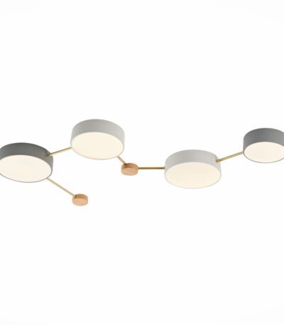 Потолочный светильник Evoluce Dossena SLE600102-04