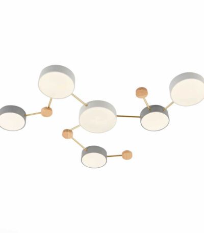 Потолочный светильник Evoluce Dossena SLE600102-06