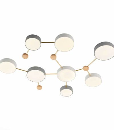 Потолочный светильник Evoluce Dossena SLE600102-08