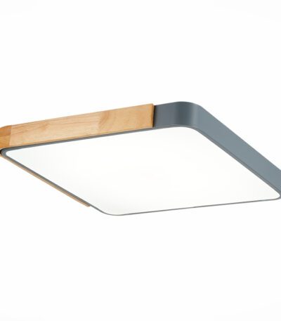 Потолочный светильник Evoluce Festa SLE201272-01