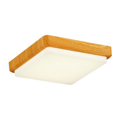 Потолочный светильник EVOLUCE TADDIO SLE200202-01