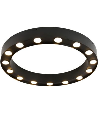 Потолочный светильник Favourite Attica 3007-15U