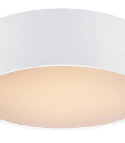 Потолочный светильник Favourite Cerchi 1515-2C1