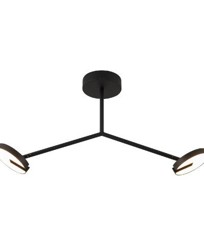 Потолочный светильник Favourite Paritet 4401-2C