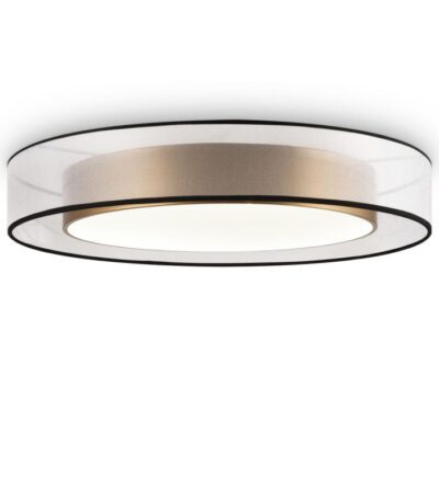 Потолочный светильник Freya Zoticus FR6005CL-L48G