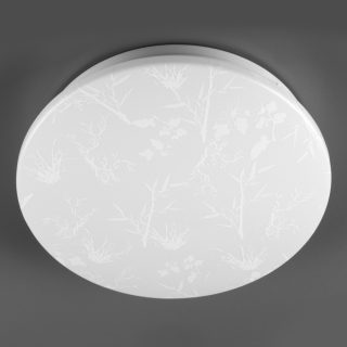 Потолочный светильник General Plant GSMCL-020-12 800259