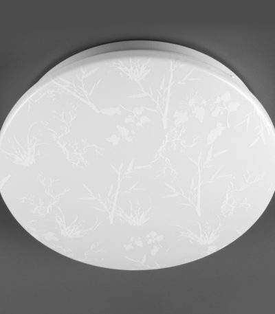 Потолочный светильник General Plant GSMCL-020-18 800260