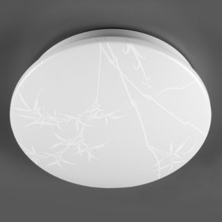 Потолочный светильник General Reed GSMCL-019-12 800256