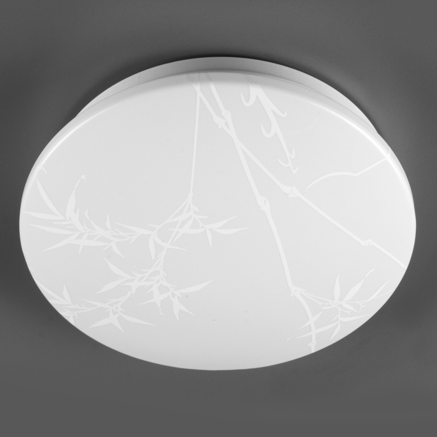 Потолочный светильник General Reed GSMCL-019-24 800258 Потолочный светильник General Reed GSMCL-019-24 800258