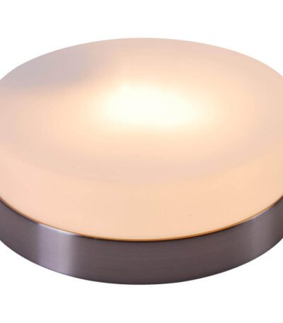 Потолочный светильник Globo Opal 48401