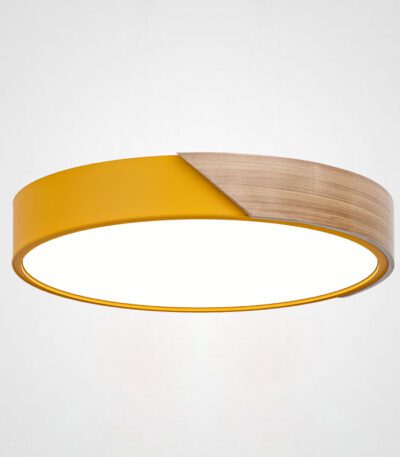 Потолочный светильник ImperiumLoft Clip 193042-26