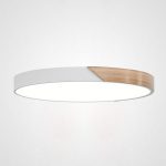 Потолочный светильник ImperiumLoft Clip 193049-26