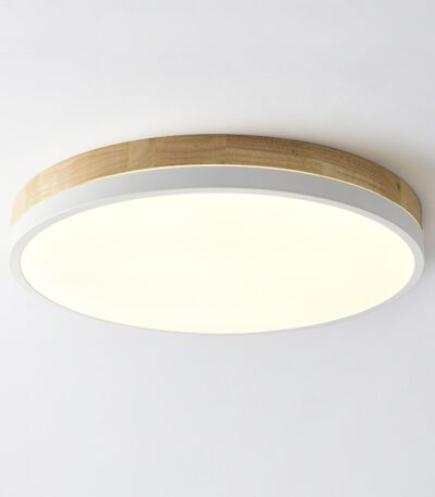 Потолочный светильник ImperiumLoft Disc 189897-26