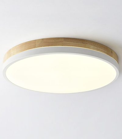 Потолочный светильник ImperiumLoft Disc 189903-26