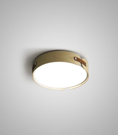 Потолочный светильник ImperiumLoft Range 195541-26